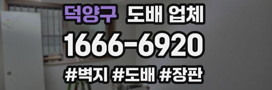 덕양구 도배 업체