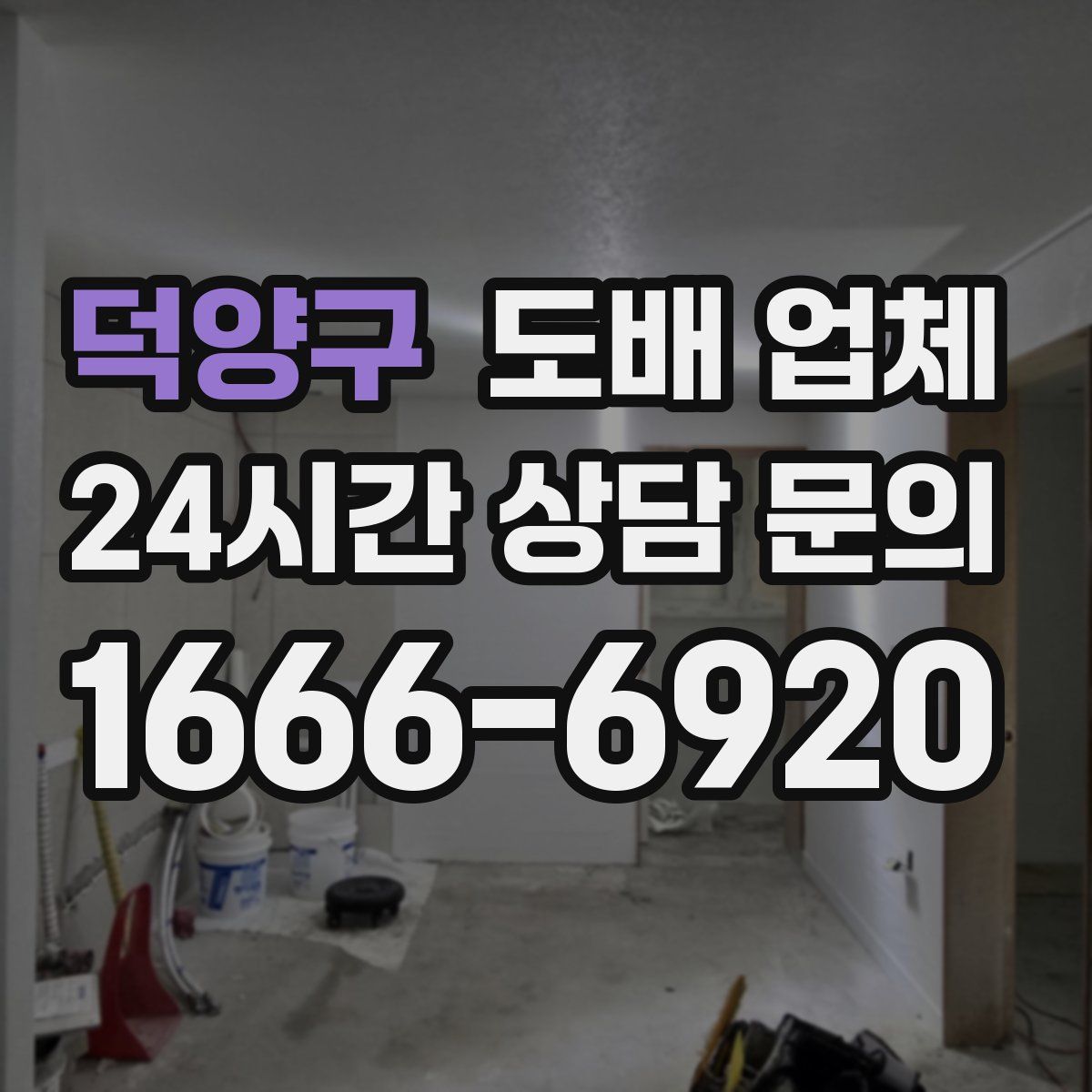덕양구 도배 업체