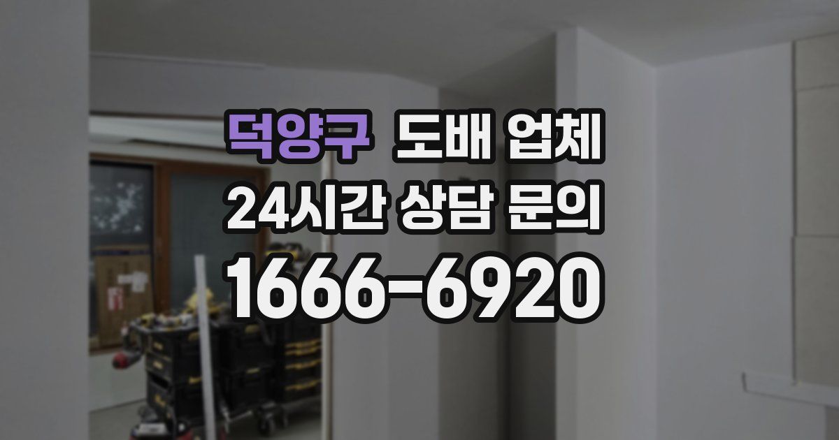 덕양구 도배 업체