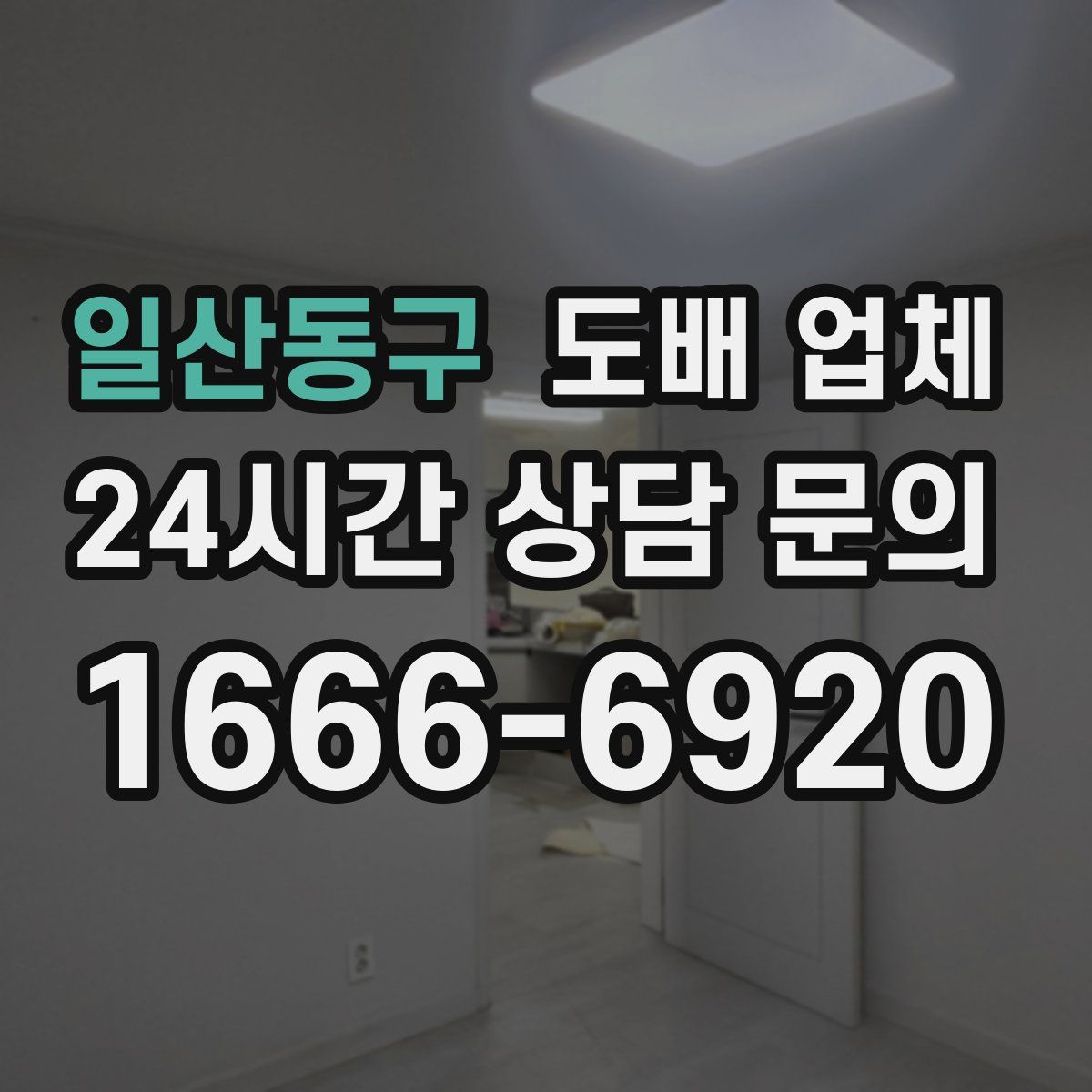 일산동구 도배 업체