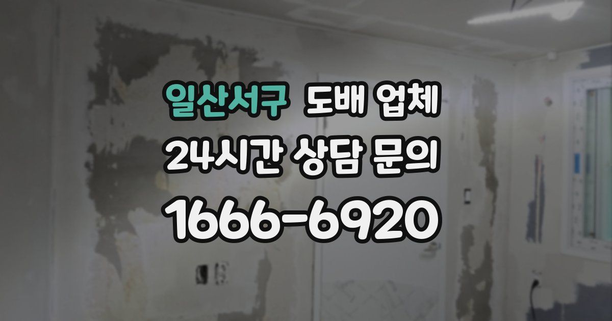 일산서구 도배 업체