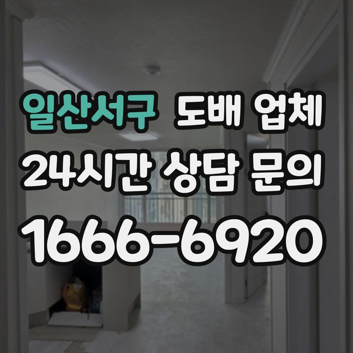 일산서구 도배 업체
