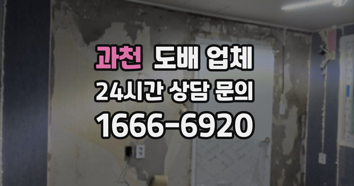 과천 도배 업체