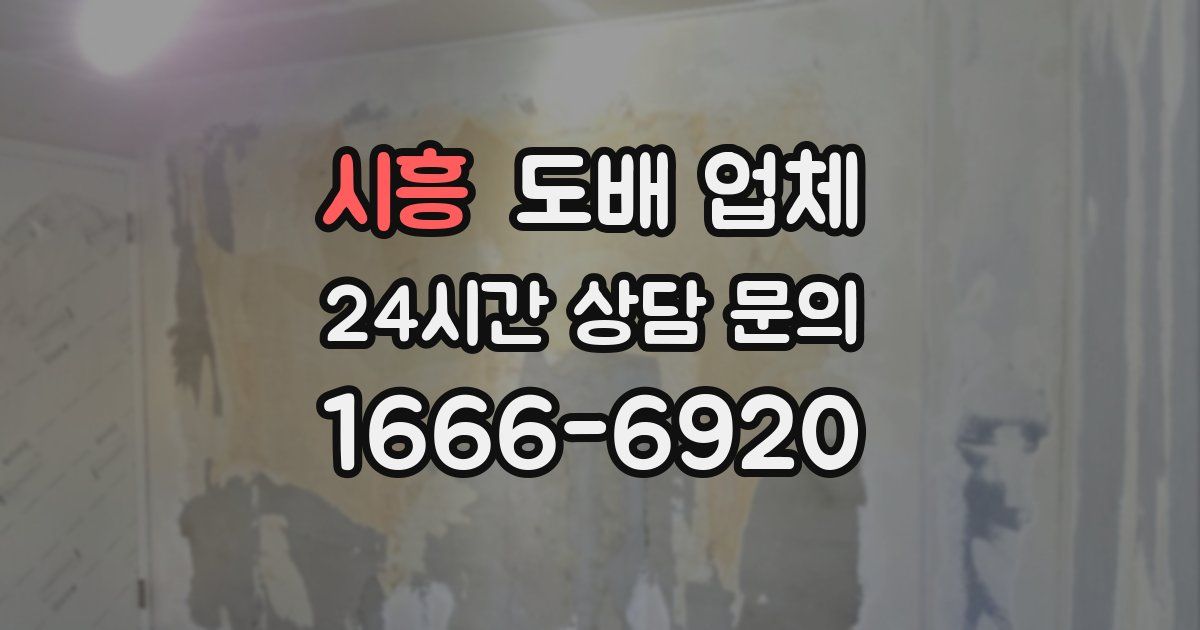 시흥 도배 업체