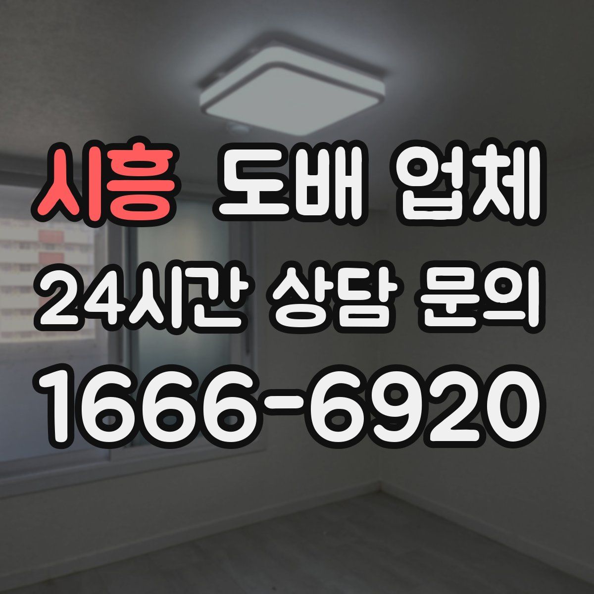 시흥 도배 업체