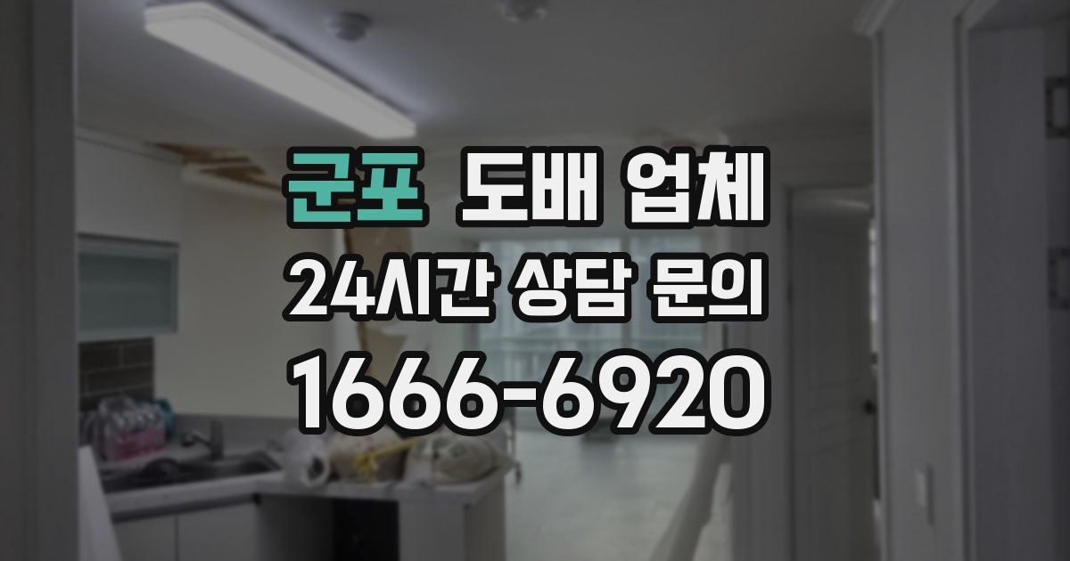 군포 도배 업체