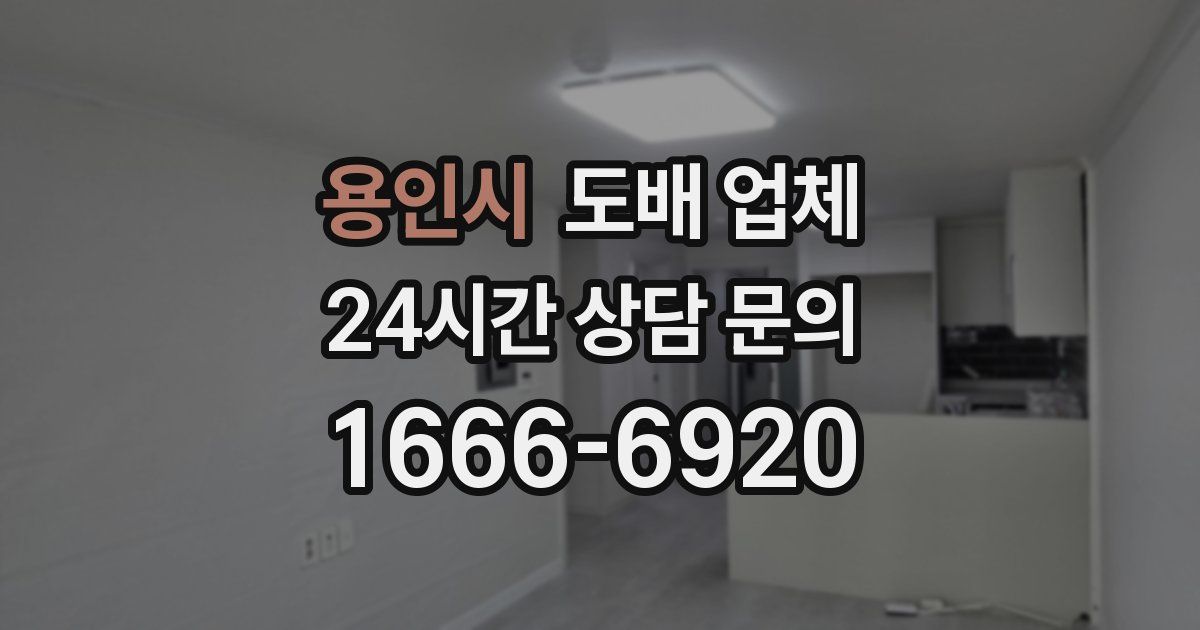 용인시 도배 업체