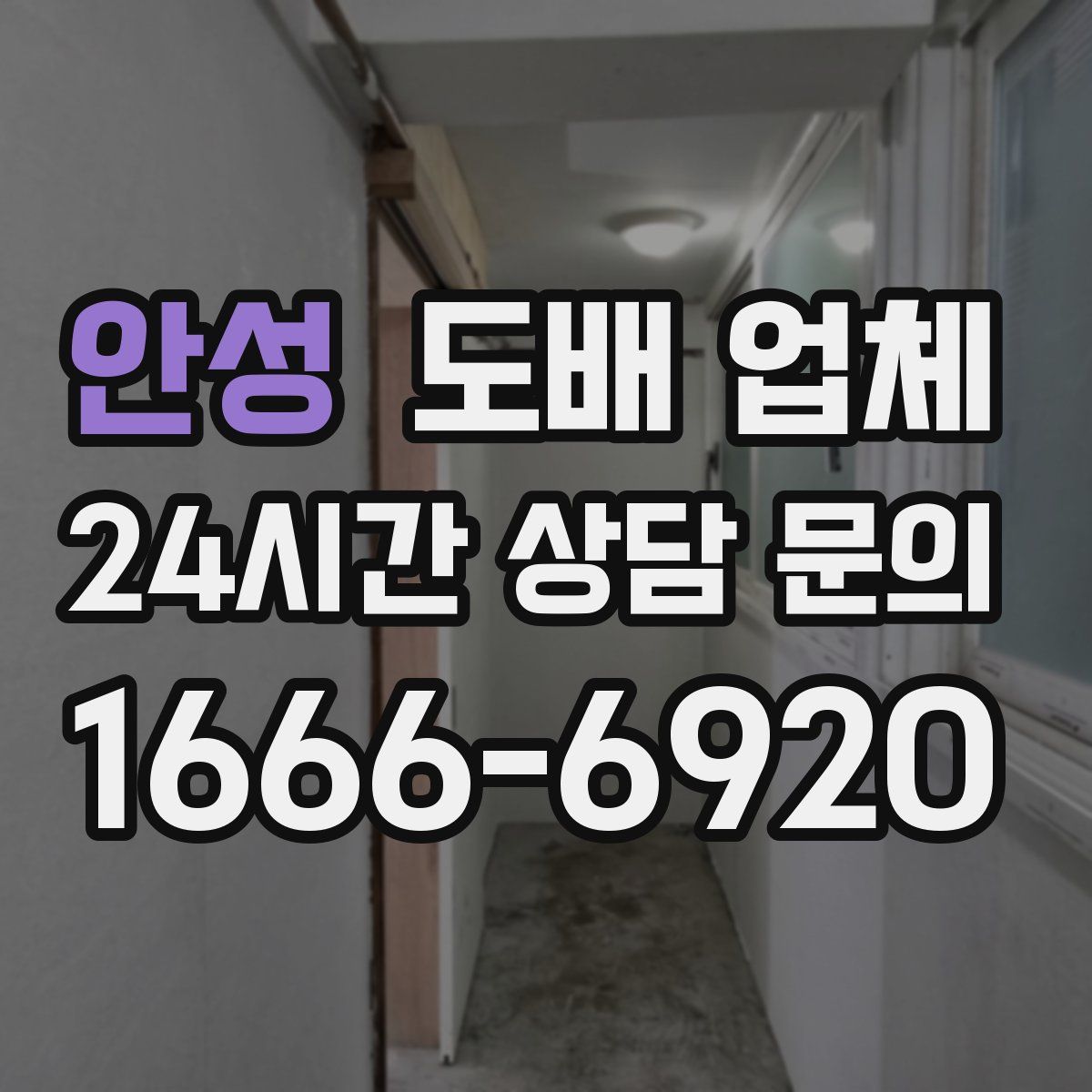 안성 도배 업체
