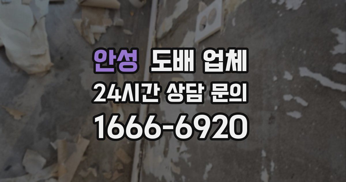 안성 도배 업체