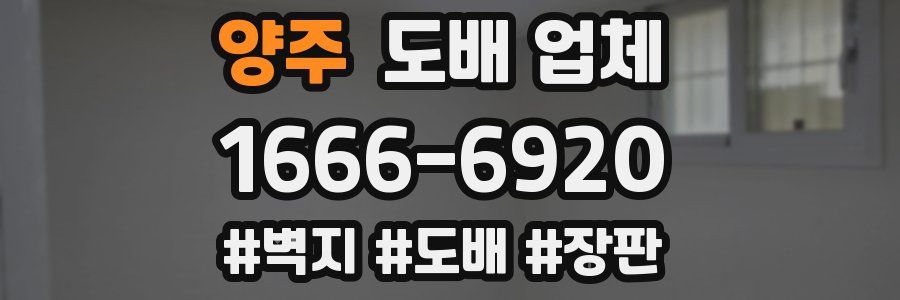 양주 도배 업체
