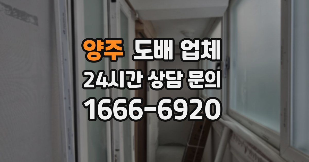 양주 도배 업체