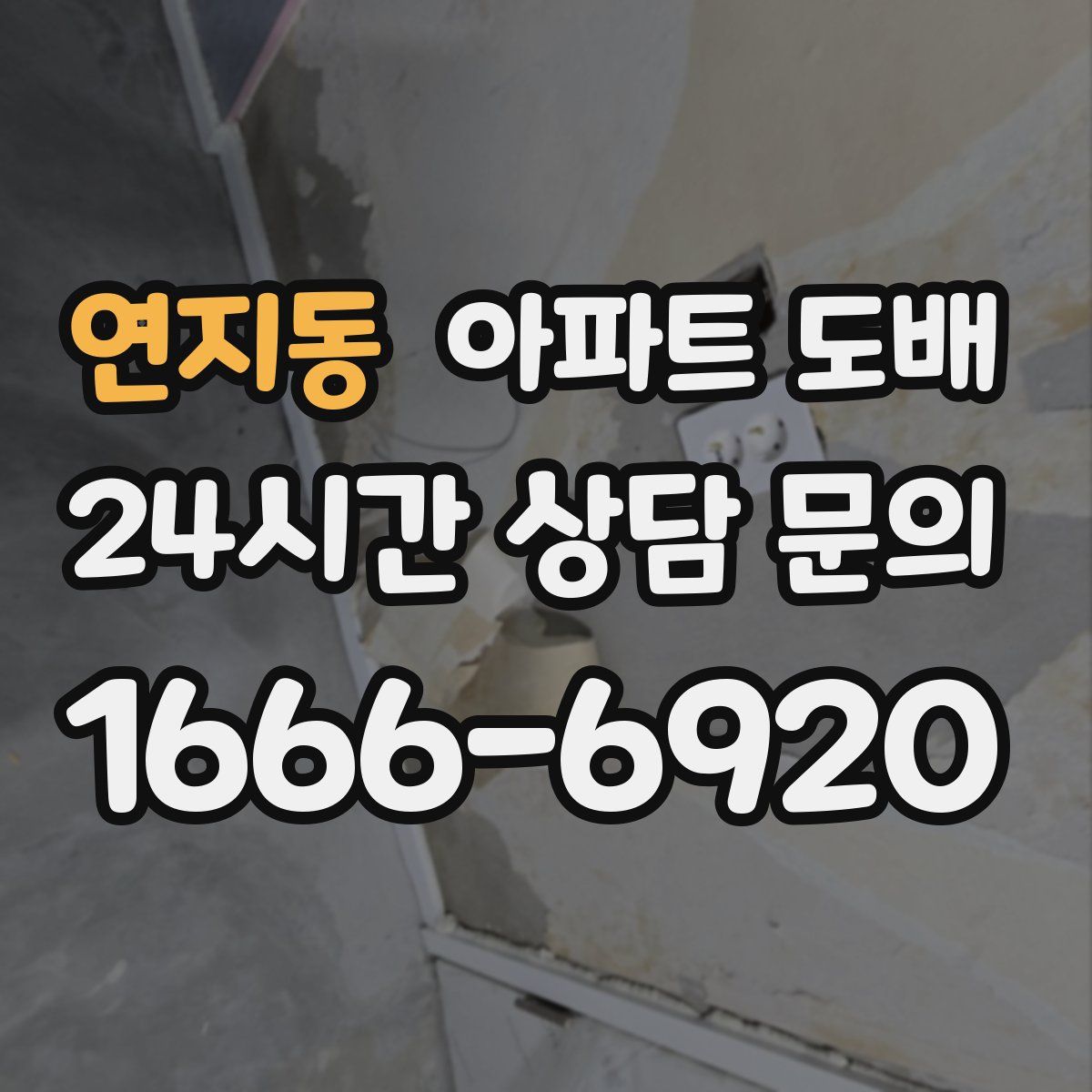 연지동 아파트 도배