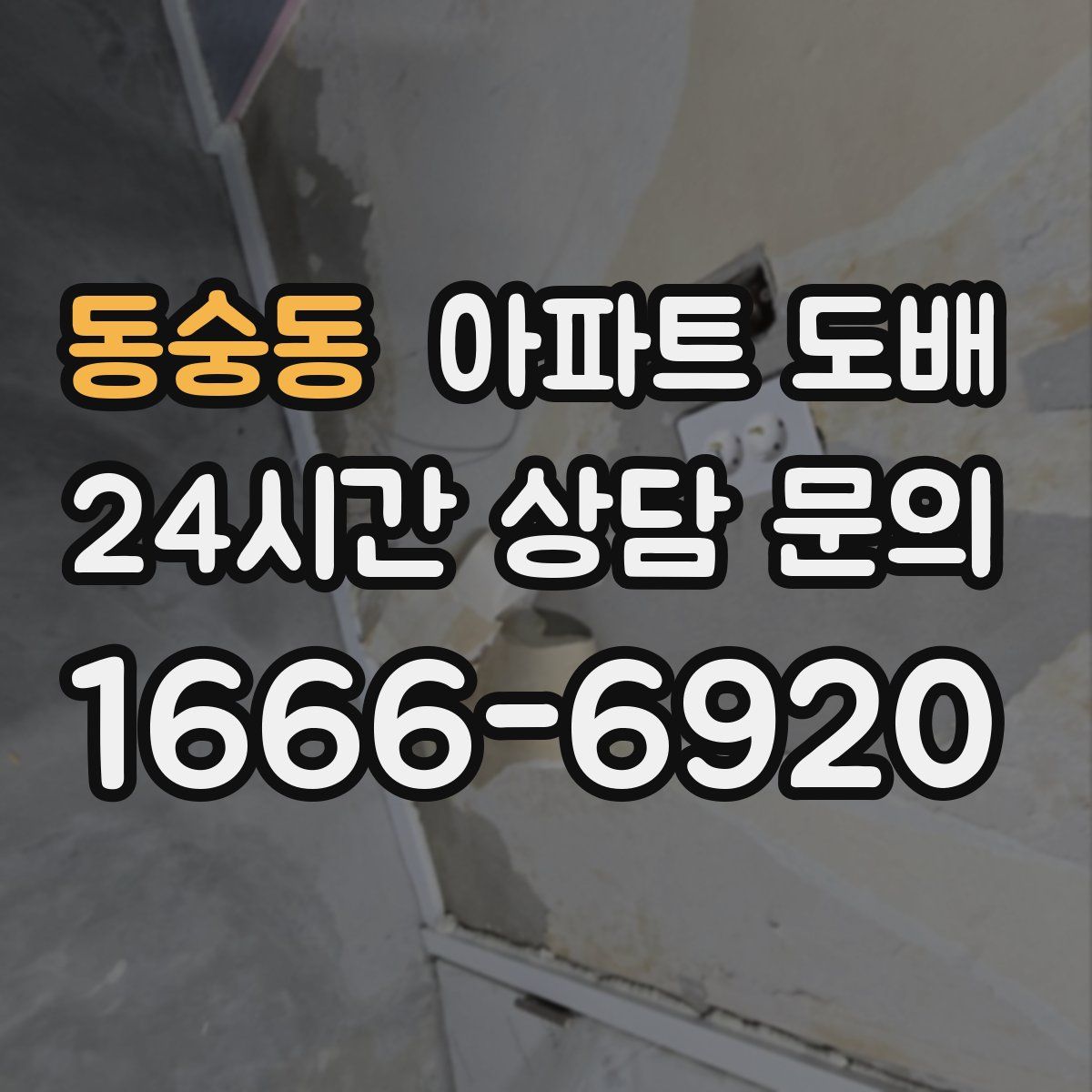 동숭동 아파트 도배