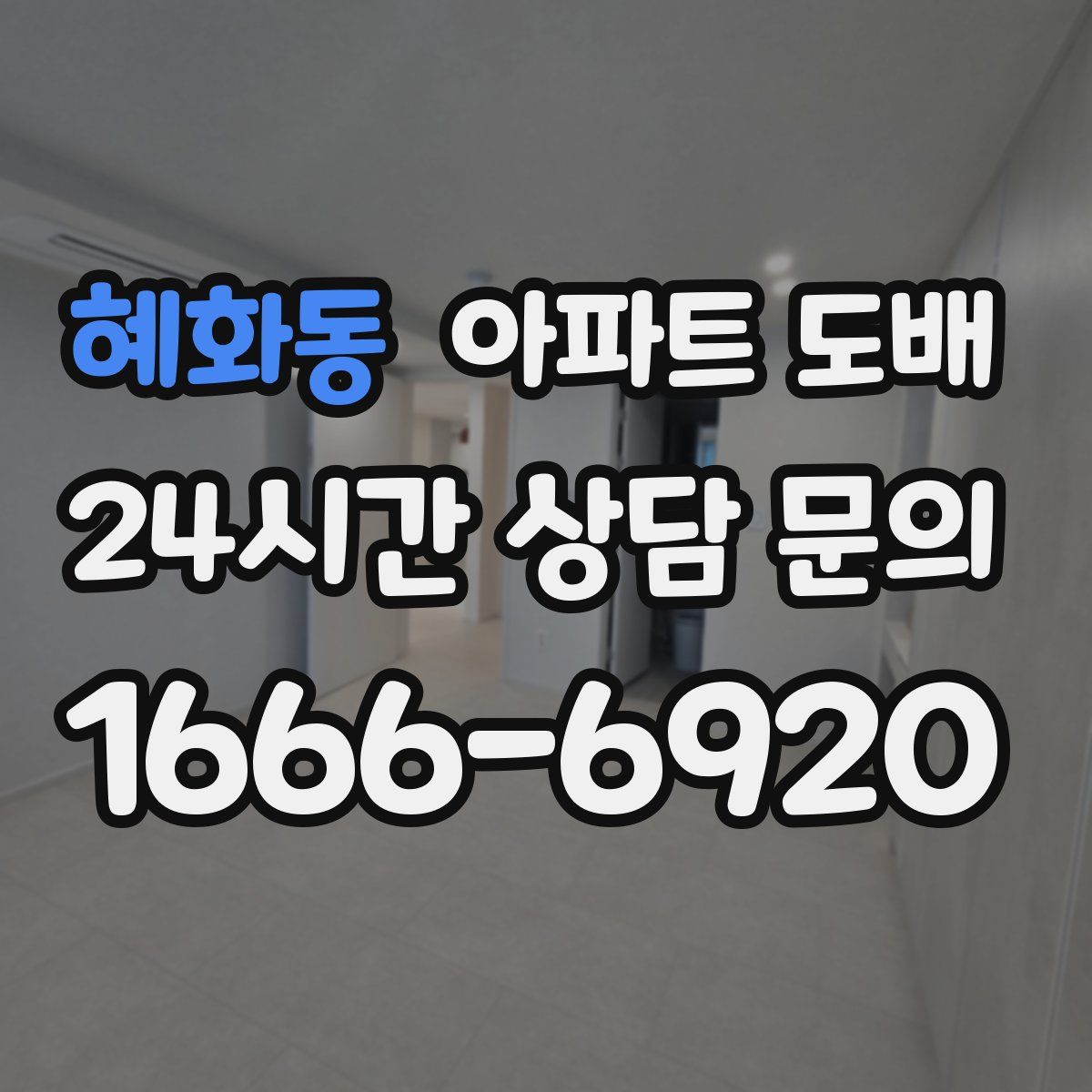 혜화동 아파트 도배