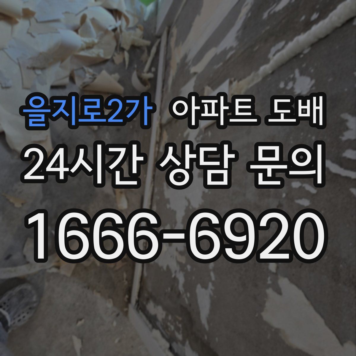 을지로2가 아파트 도배