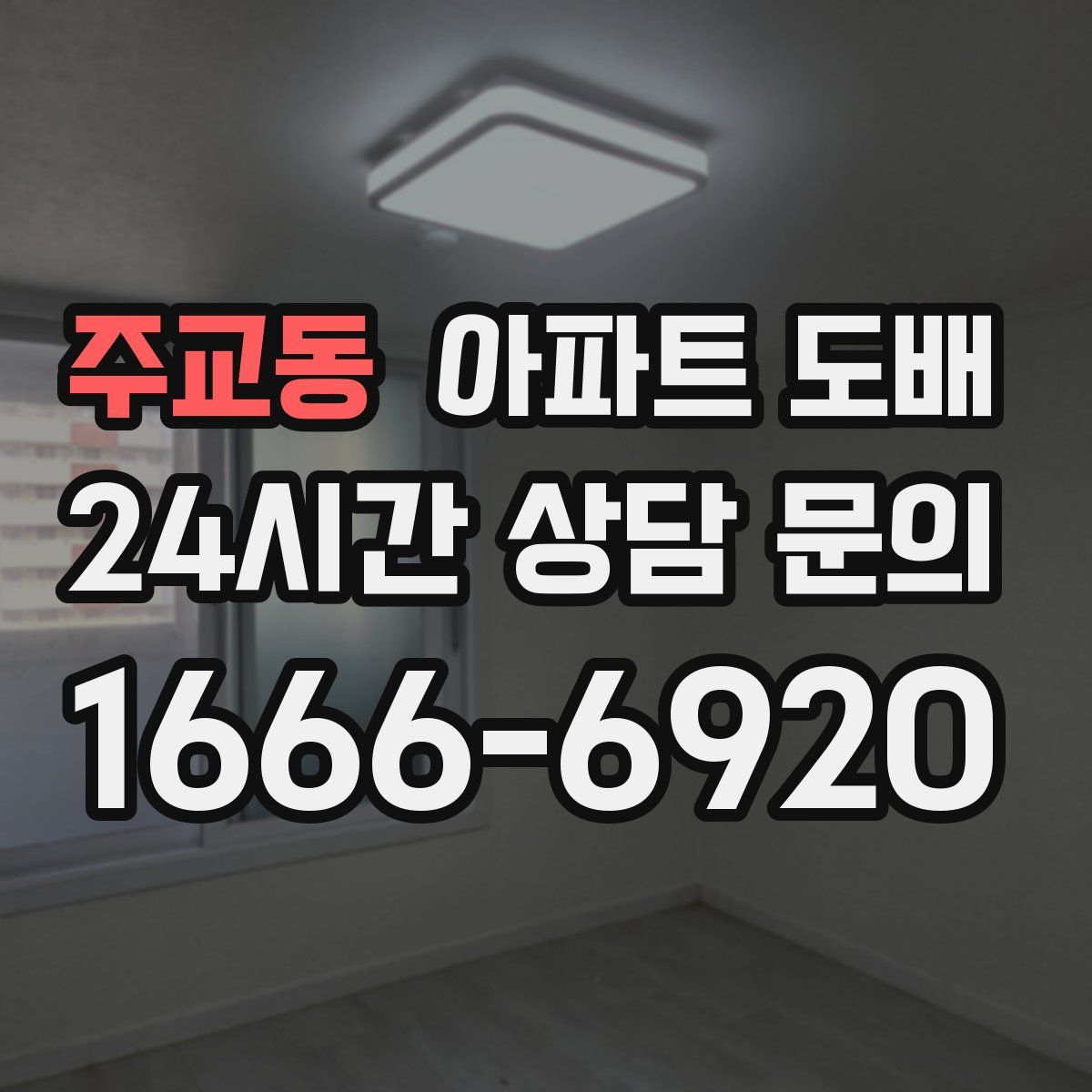 주교동 아파트 도배