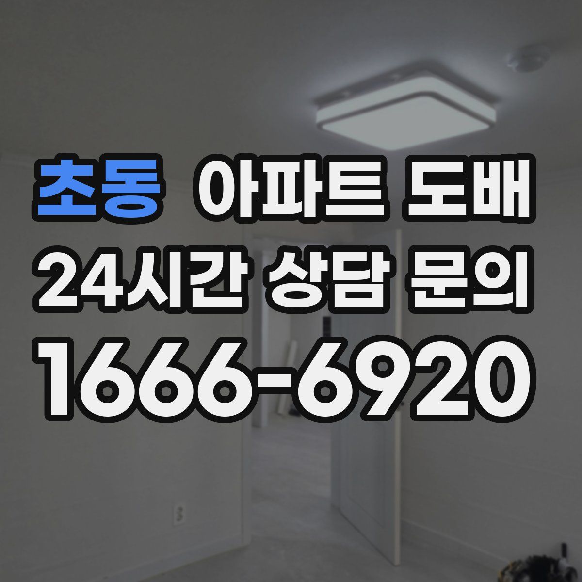 초동 아파트 도배