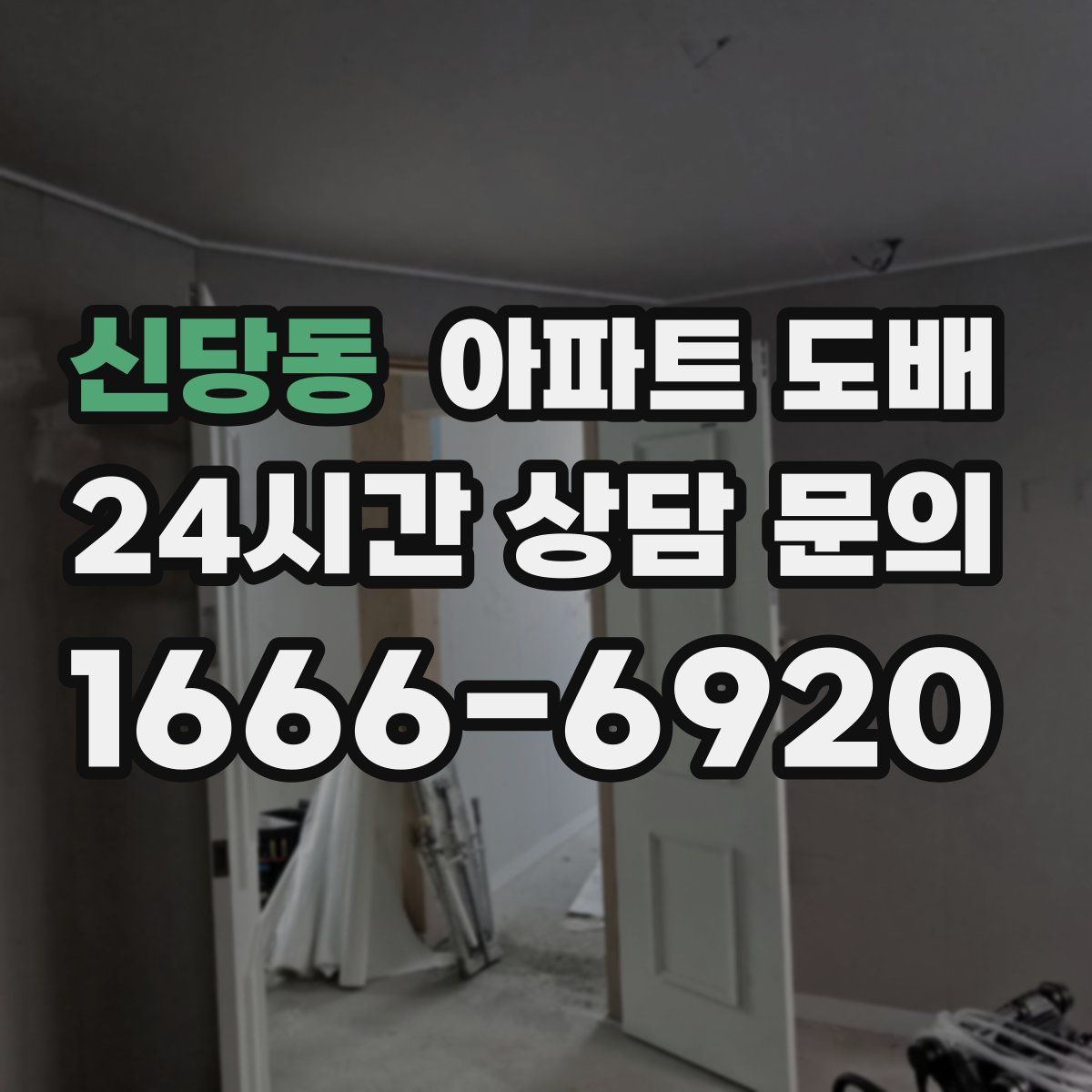 신당동 아파트 도배