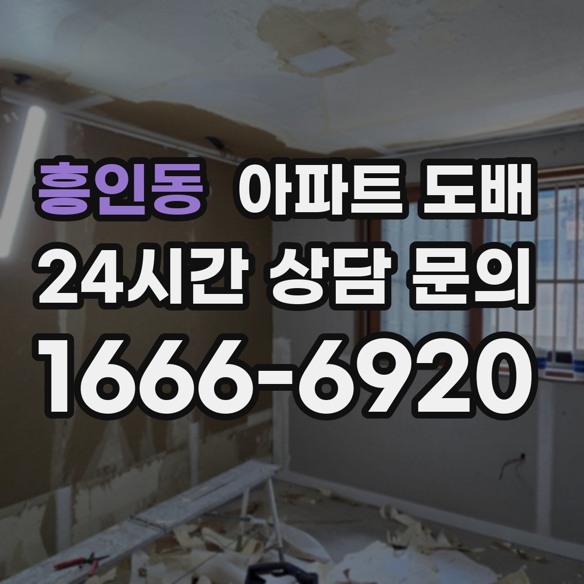 흥인동 아파트 도배