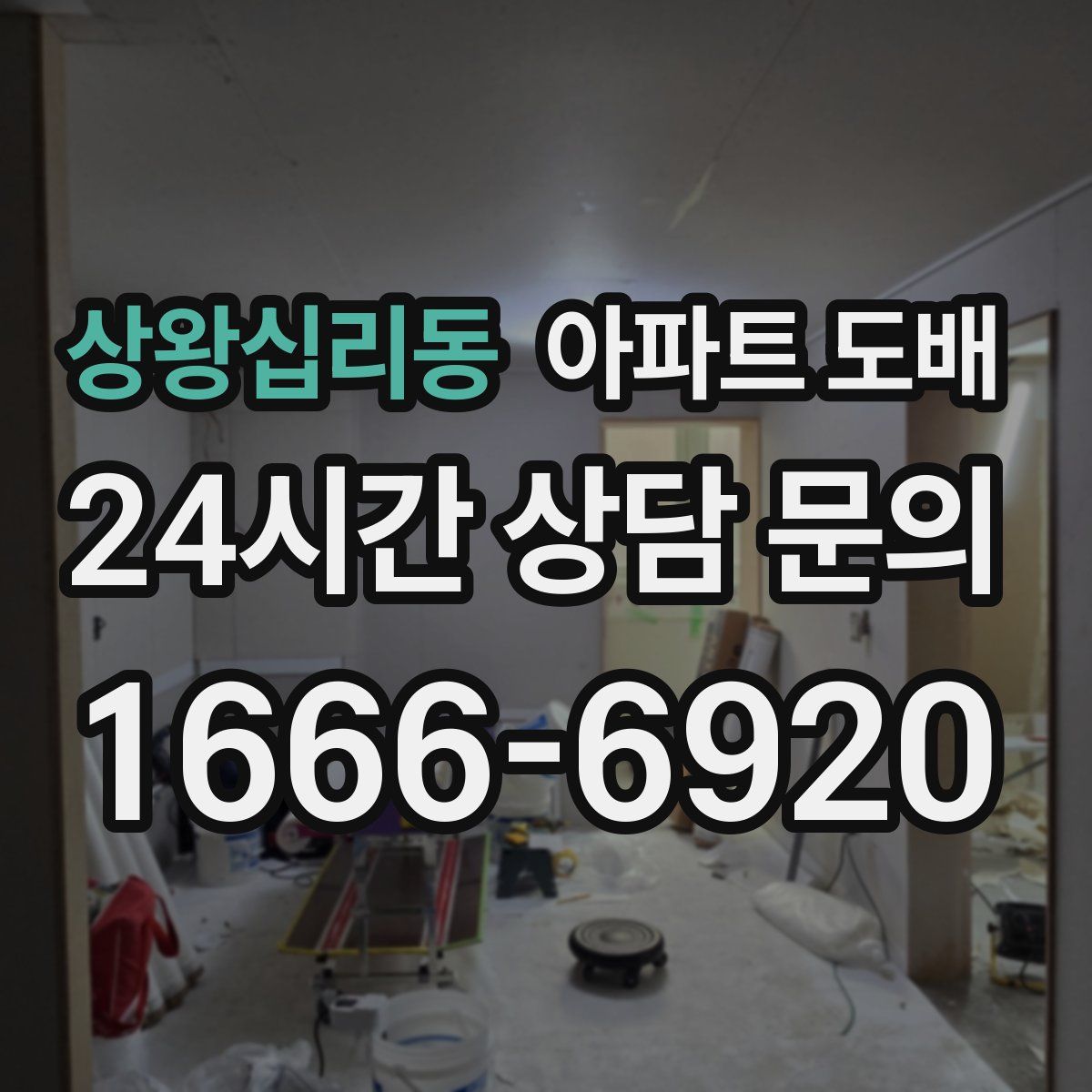 상왕십리동 아파트 도배
