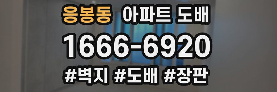 응봉동 아파트 도배