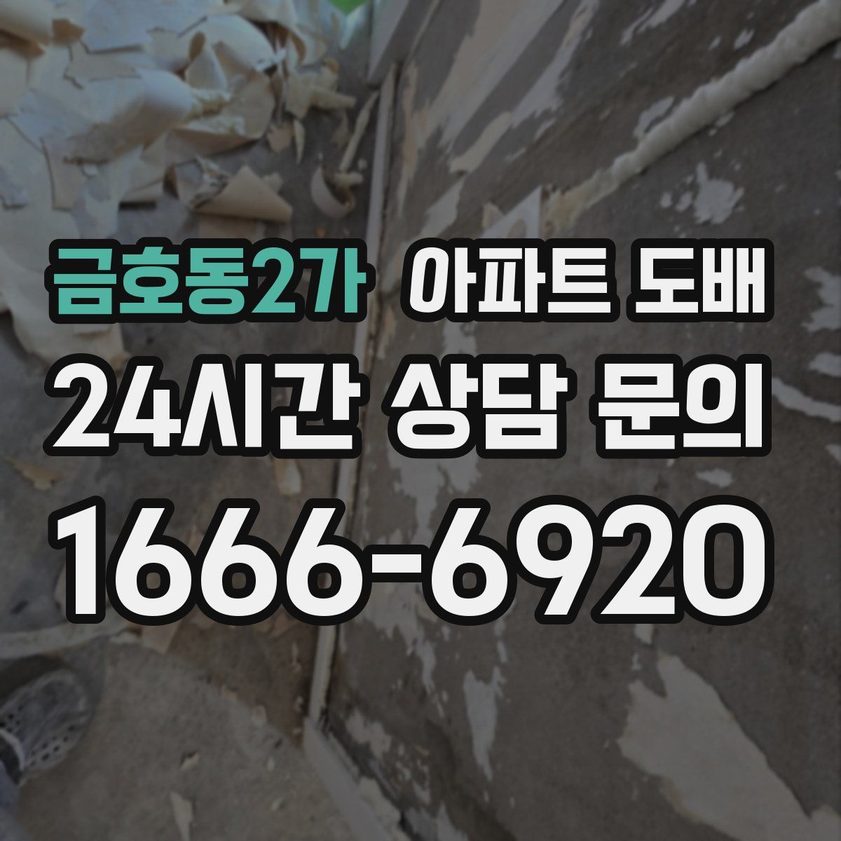 금호동2가 아파트 도배