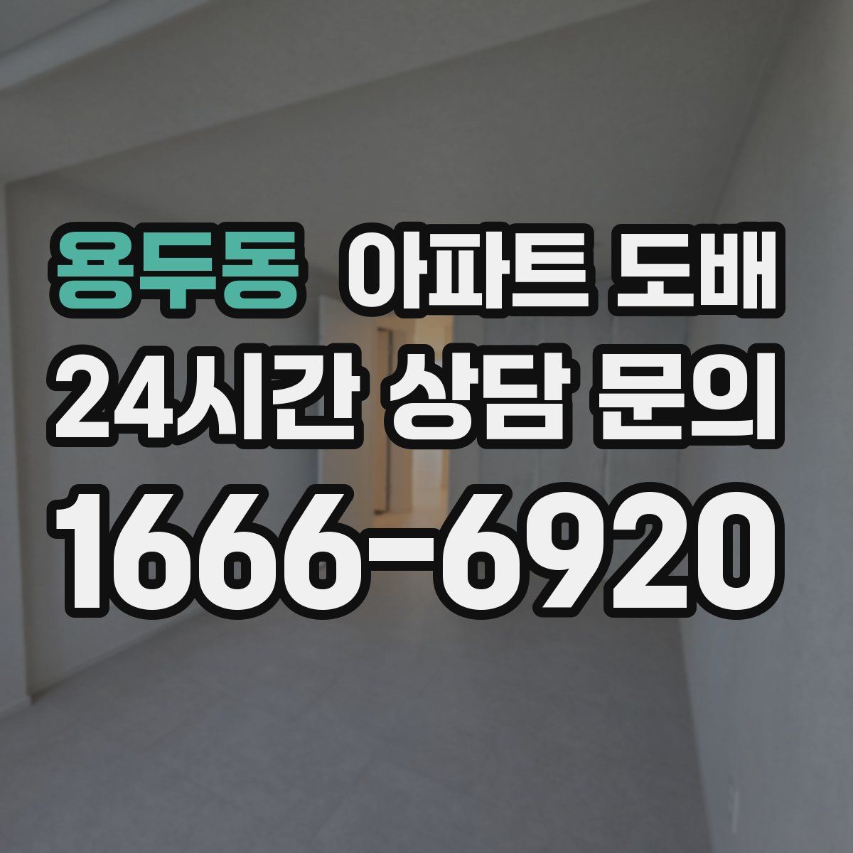 용두동 아파트 도배