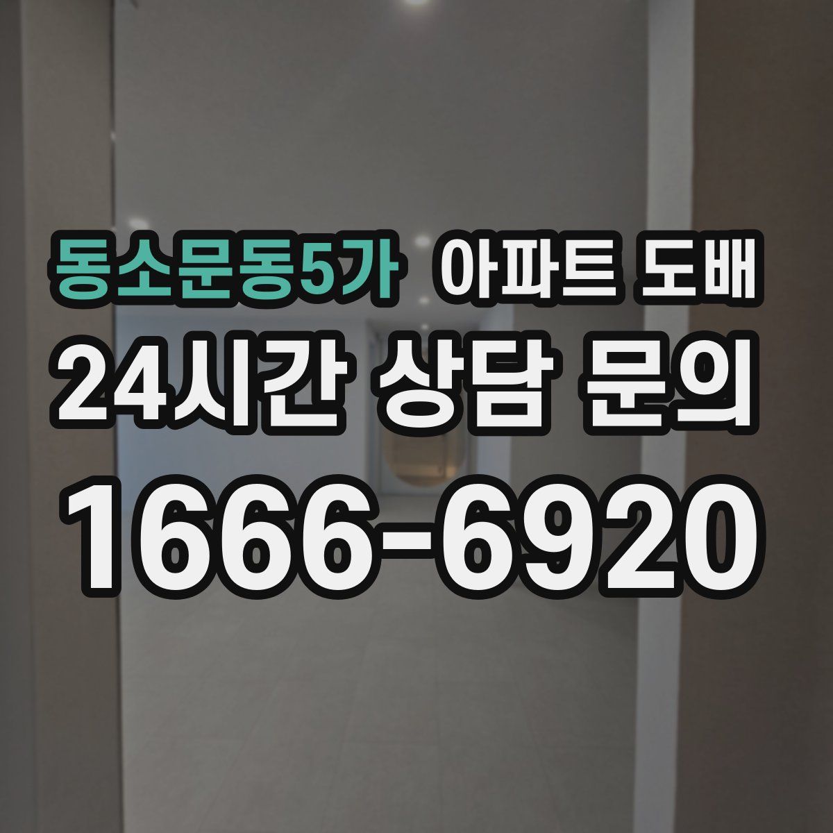 동소문동5가 아파트 도배
