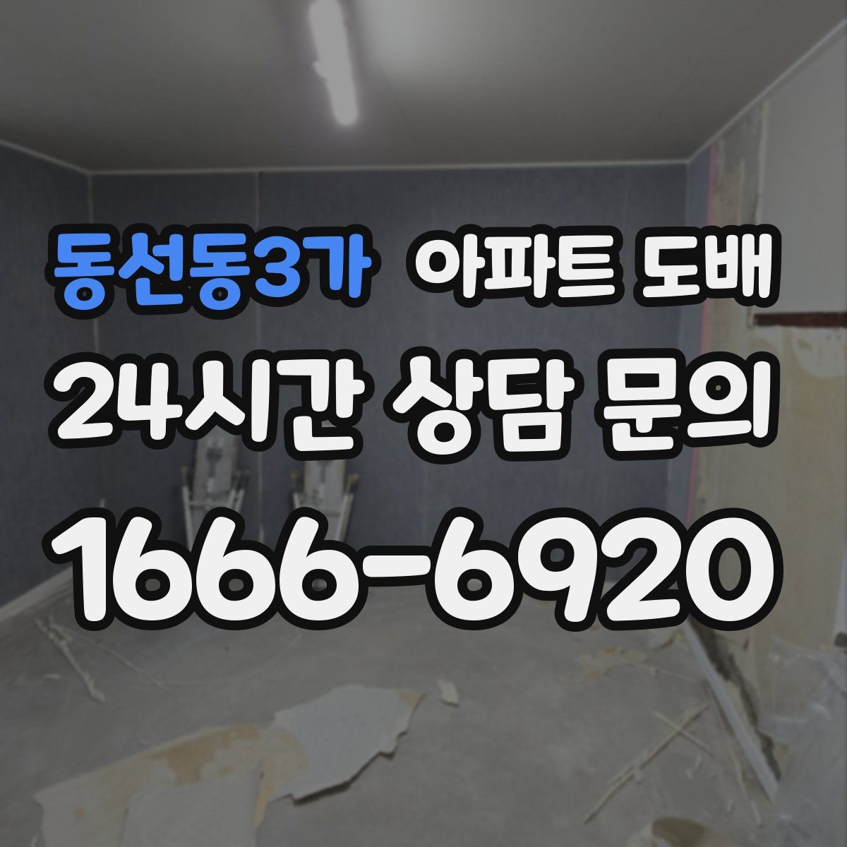 동선동3가 아파트 도배