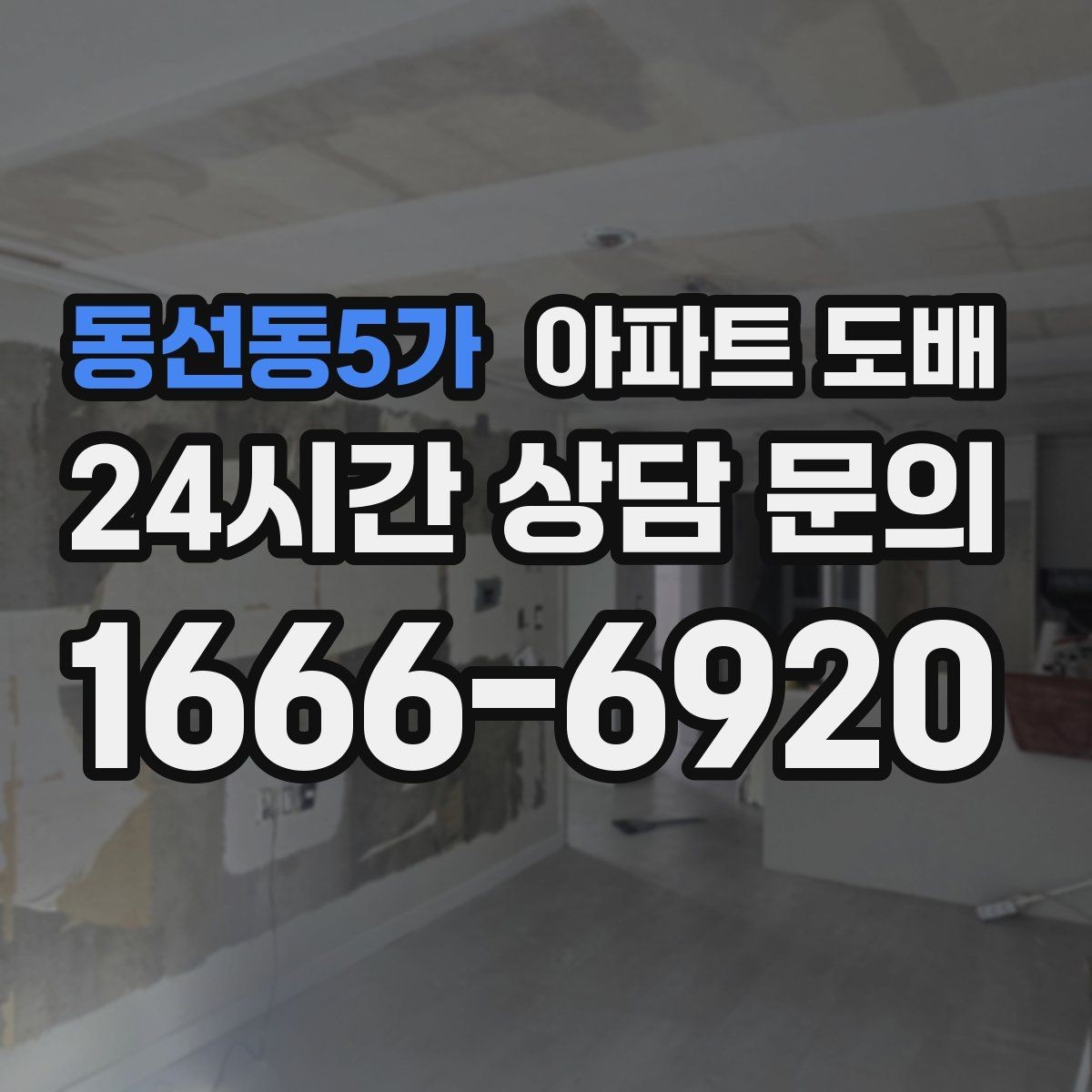 동선동5가 아파트 도배 마감 완성도를 높이는 사소한 차이