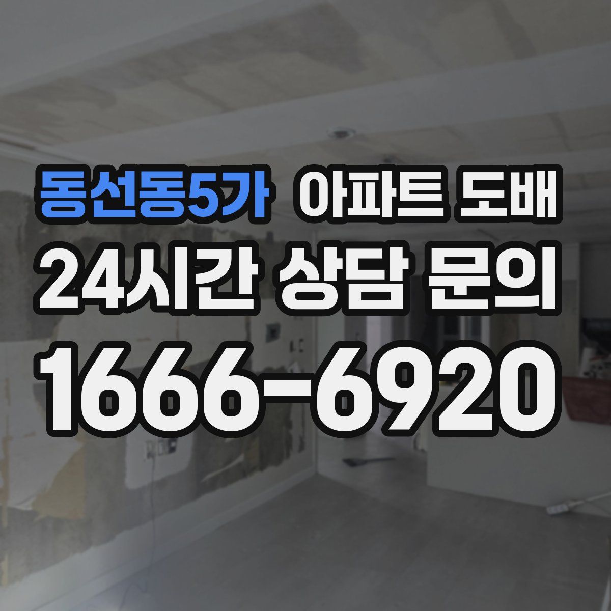 동선동5가 아파트 도배