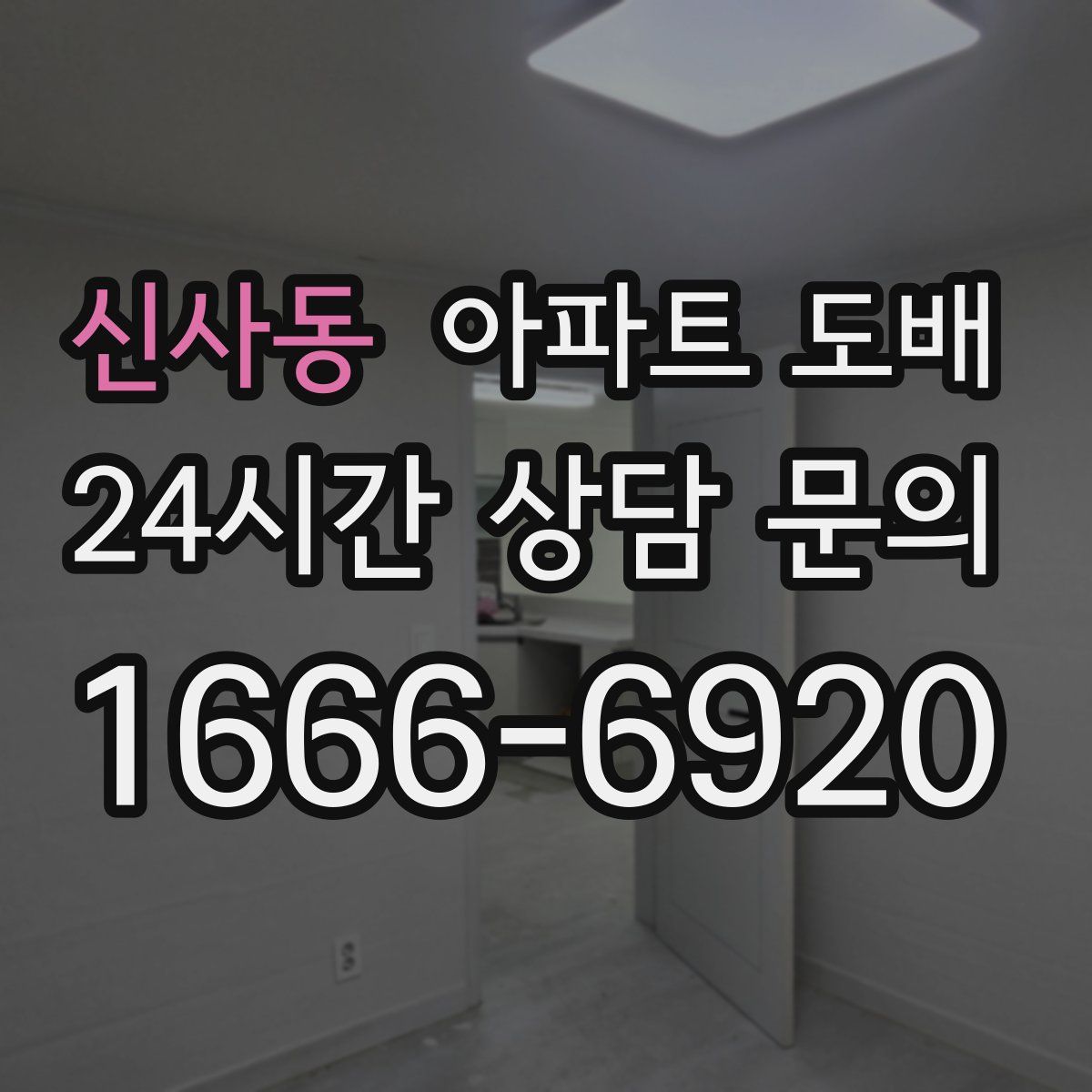 신사동 아파트 도배