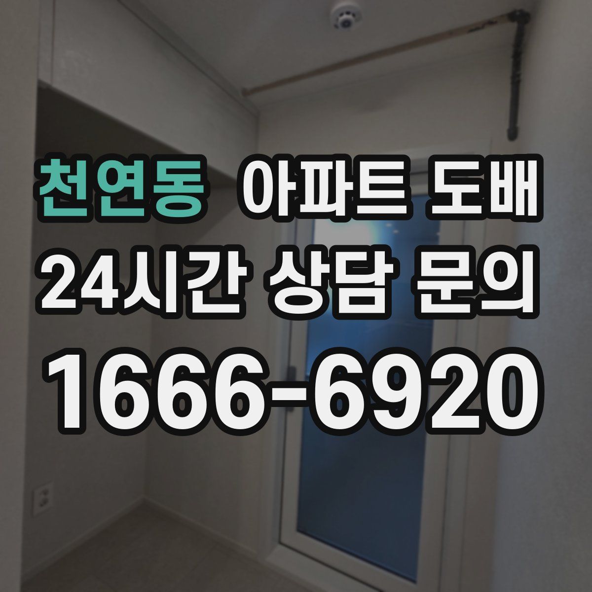 천연동 아파트 도배