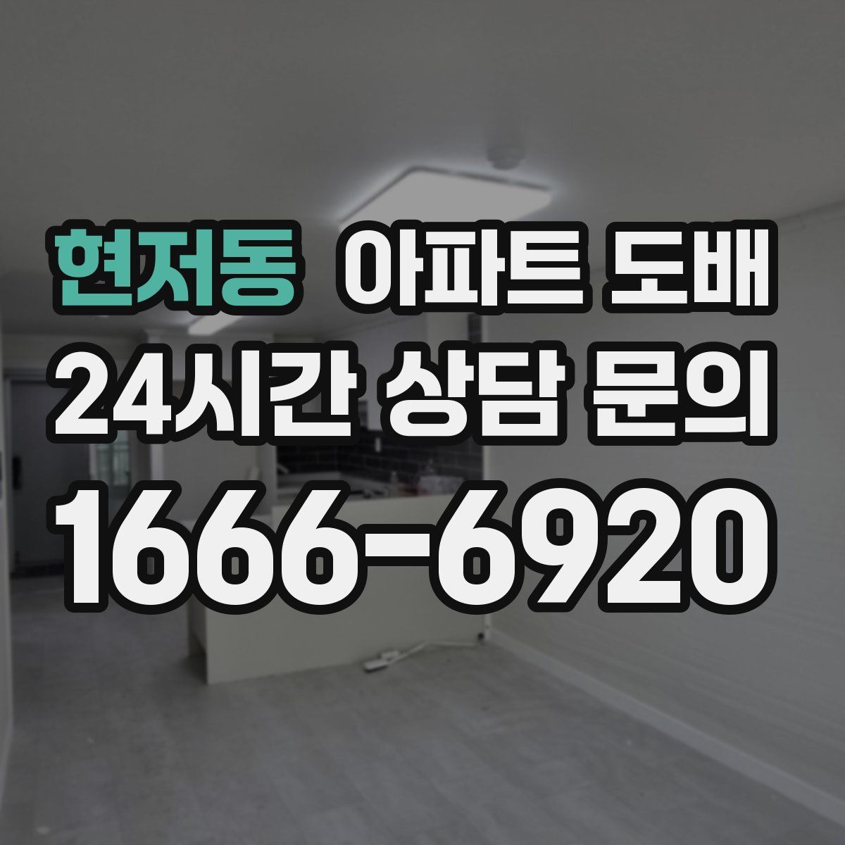 현저동 아파트 도배