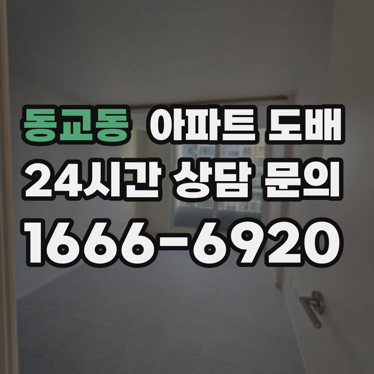 동교동 아파트 도배