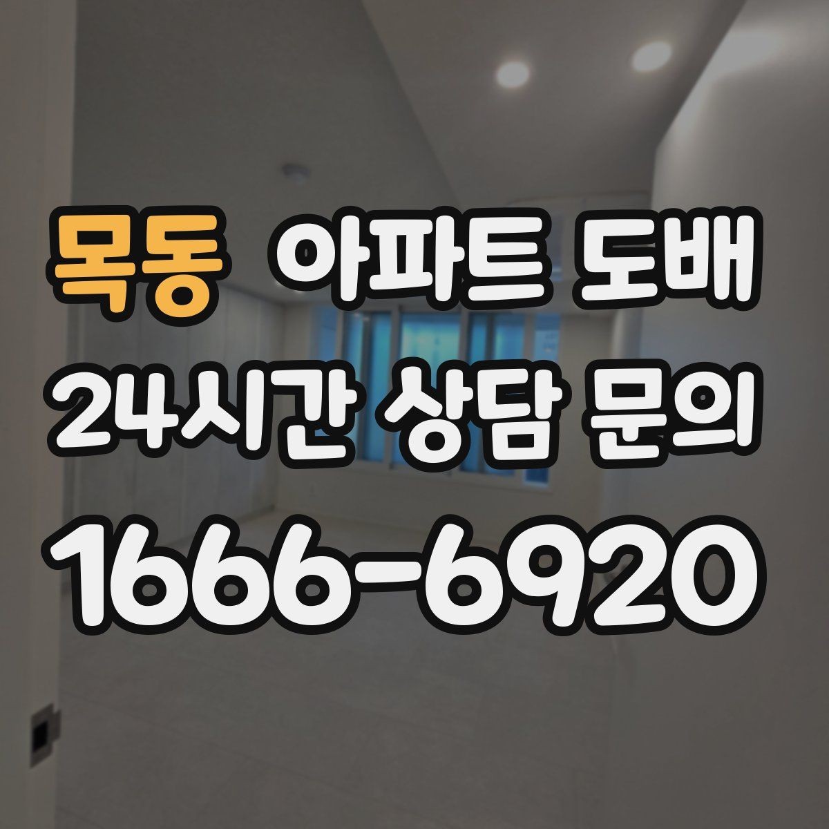 목동 아파트 도배 벽지 고르기 기준과 주의점