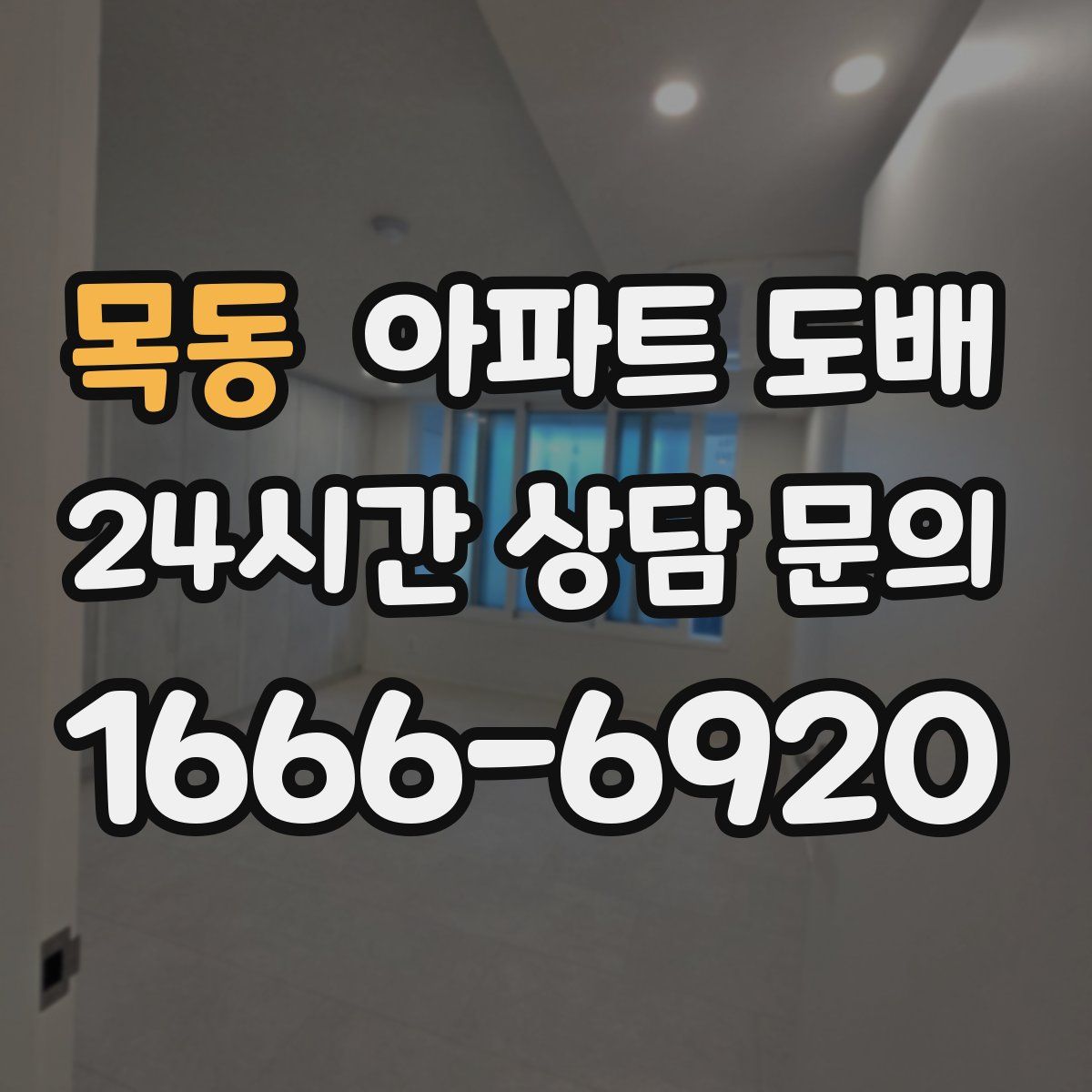 목동 아파트 도배