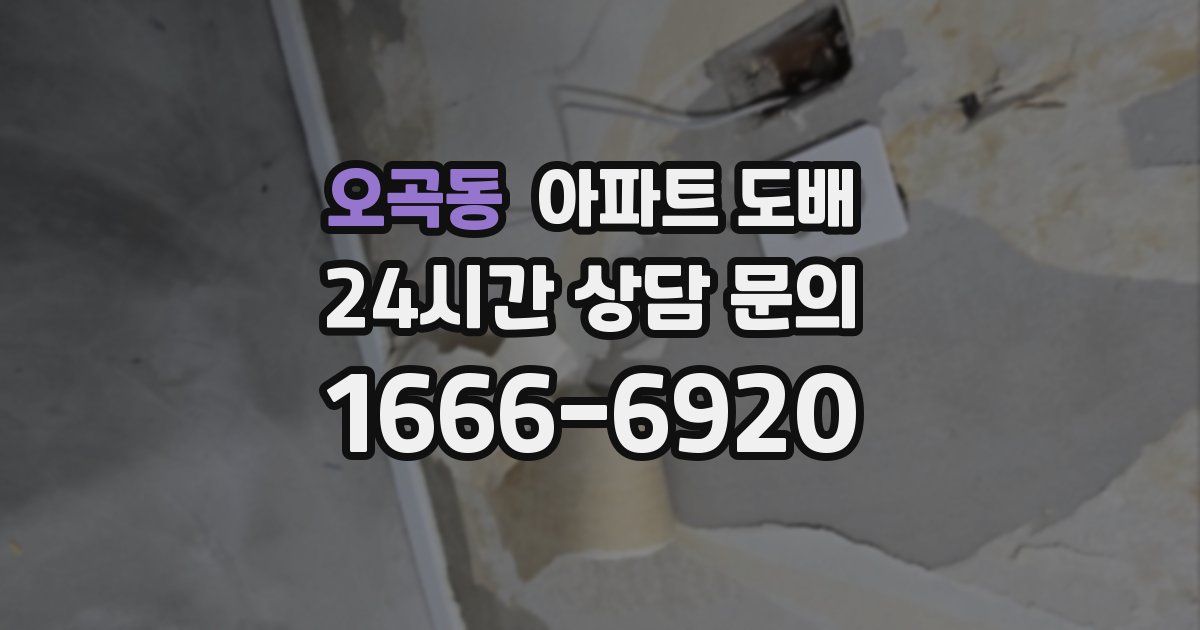 오곡동 아파트 도배