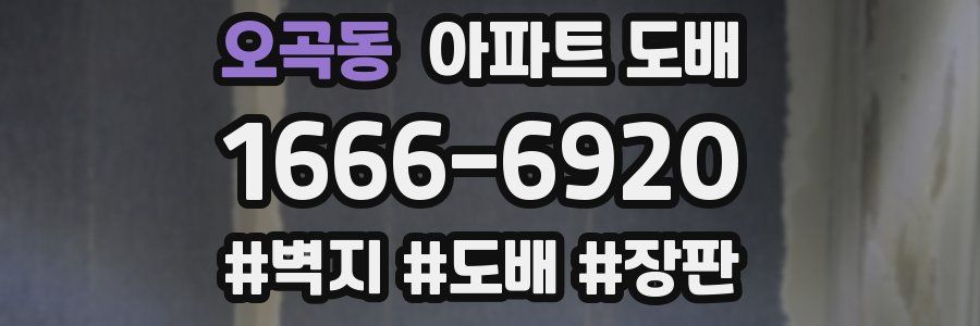 오곡동 아파트 도배