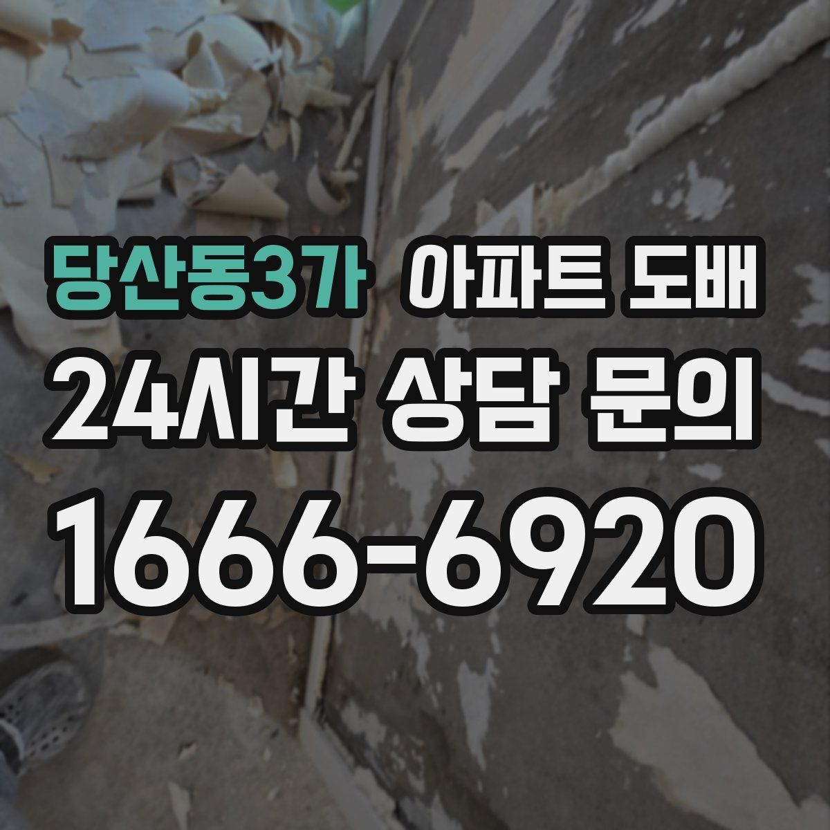당산동3가 아파트 도배