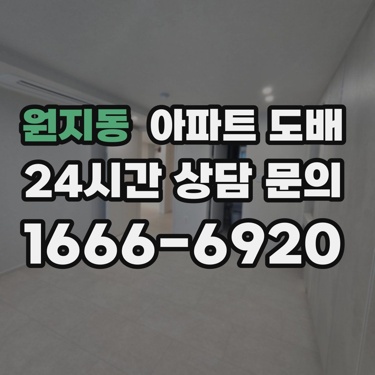 원지동 아파트 도배