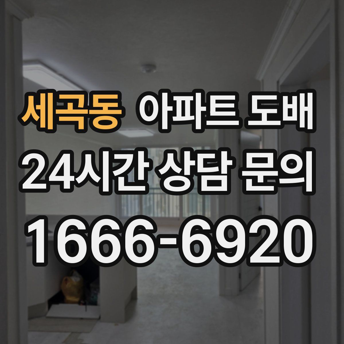세곡동 아파트 도배