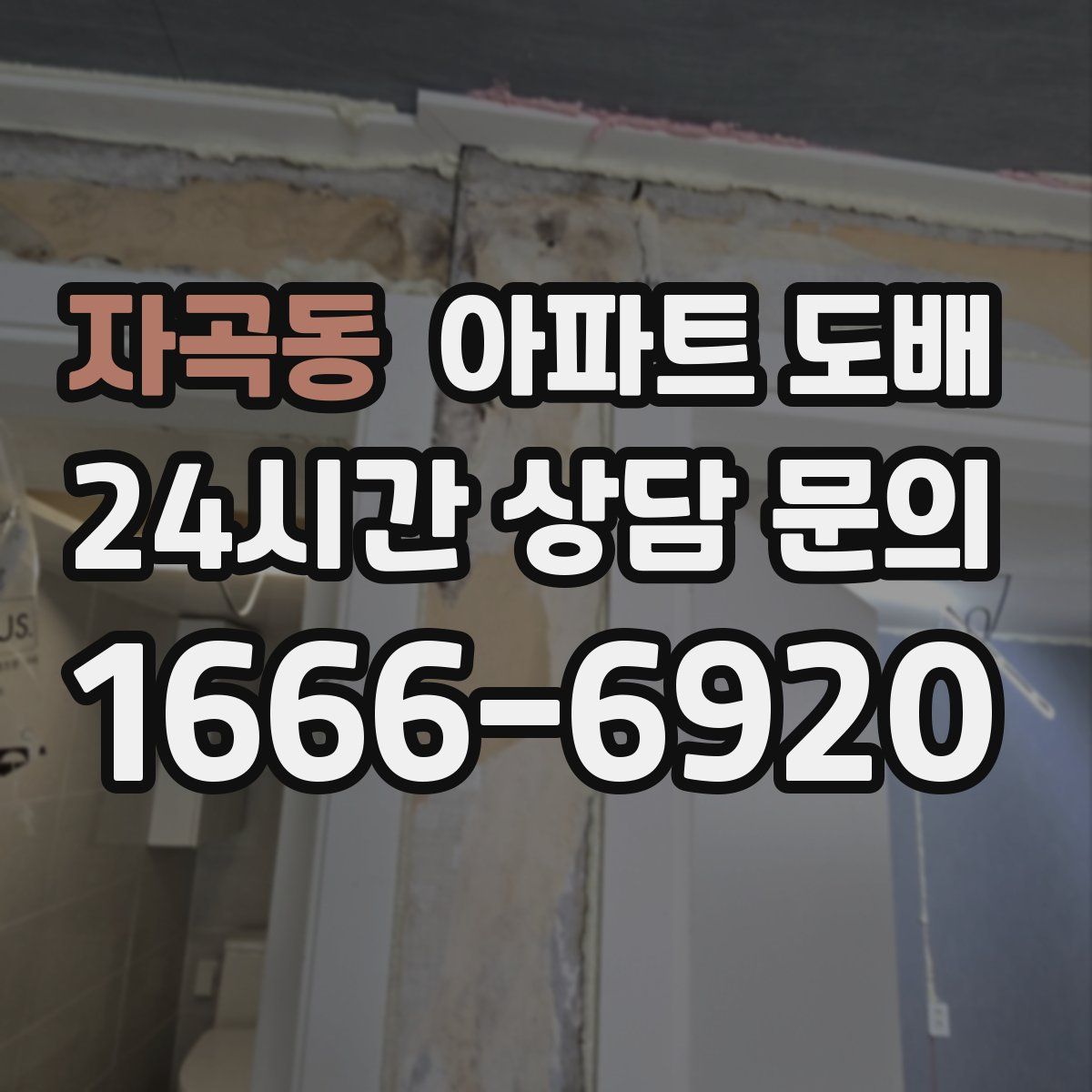 자곡동 아파트 도배