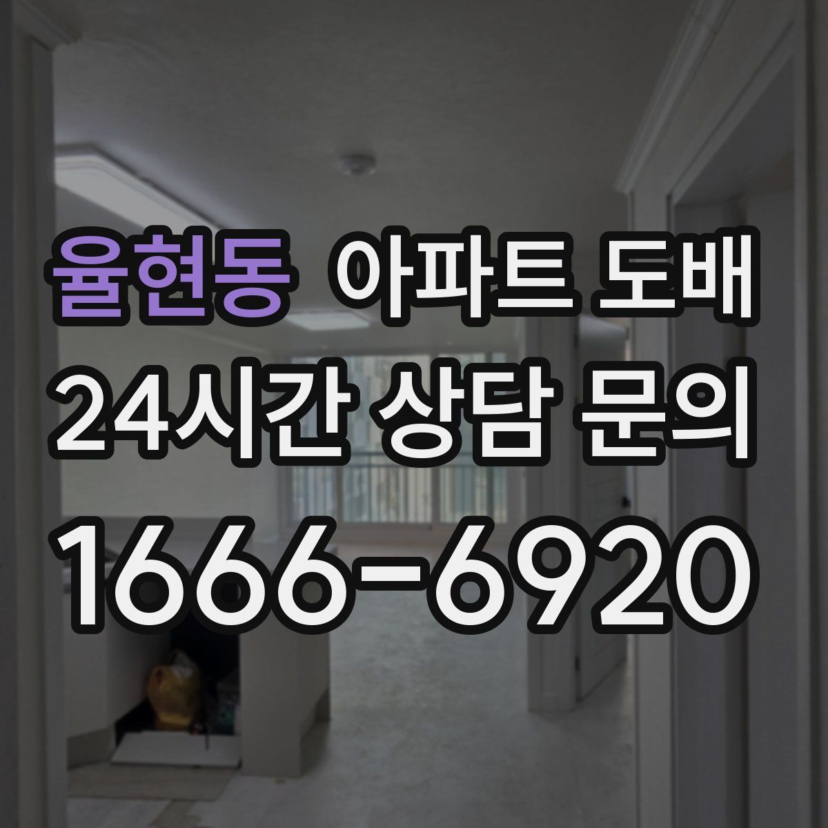 율현동 아파트 도배