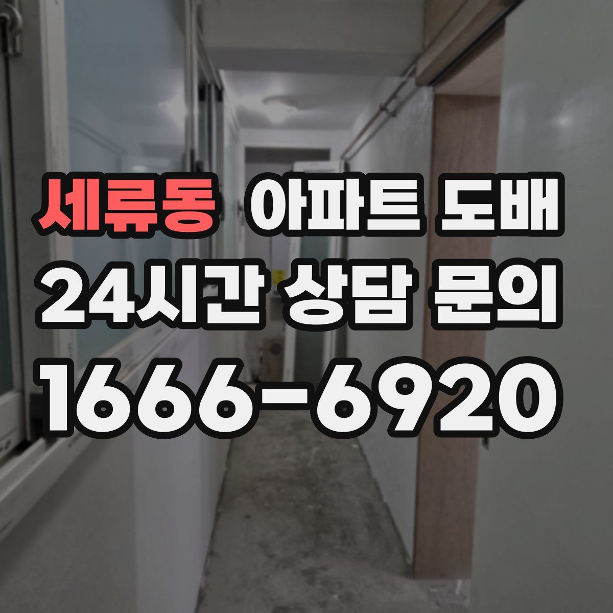 세류동 아파트 도배
