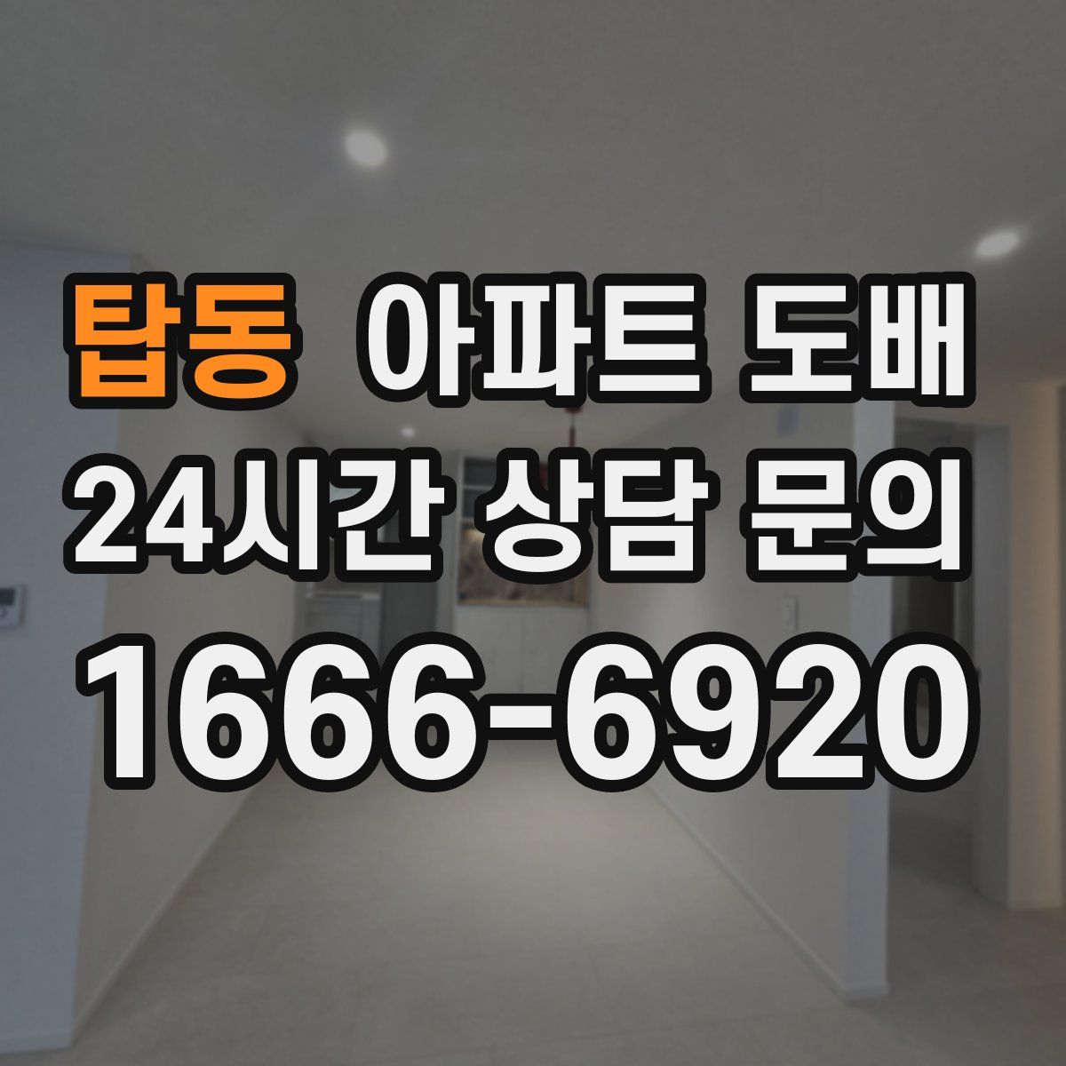탑동 아파트 도배