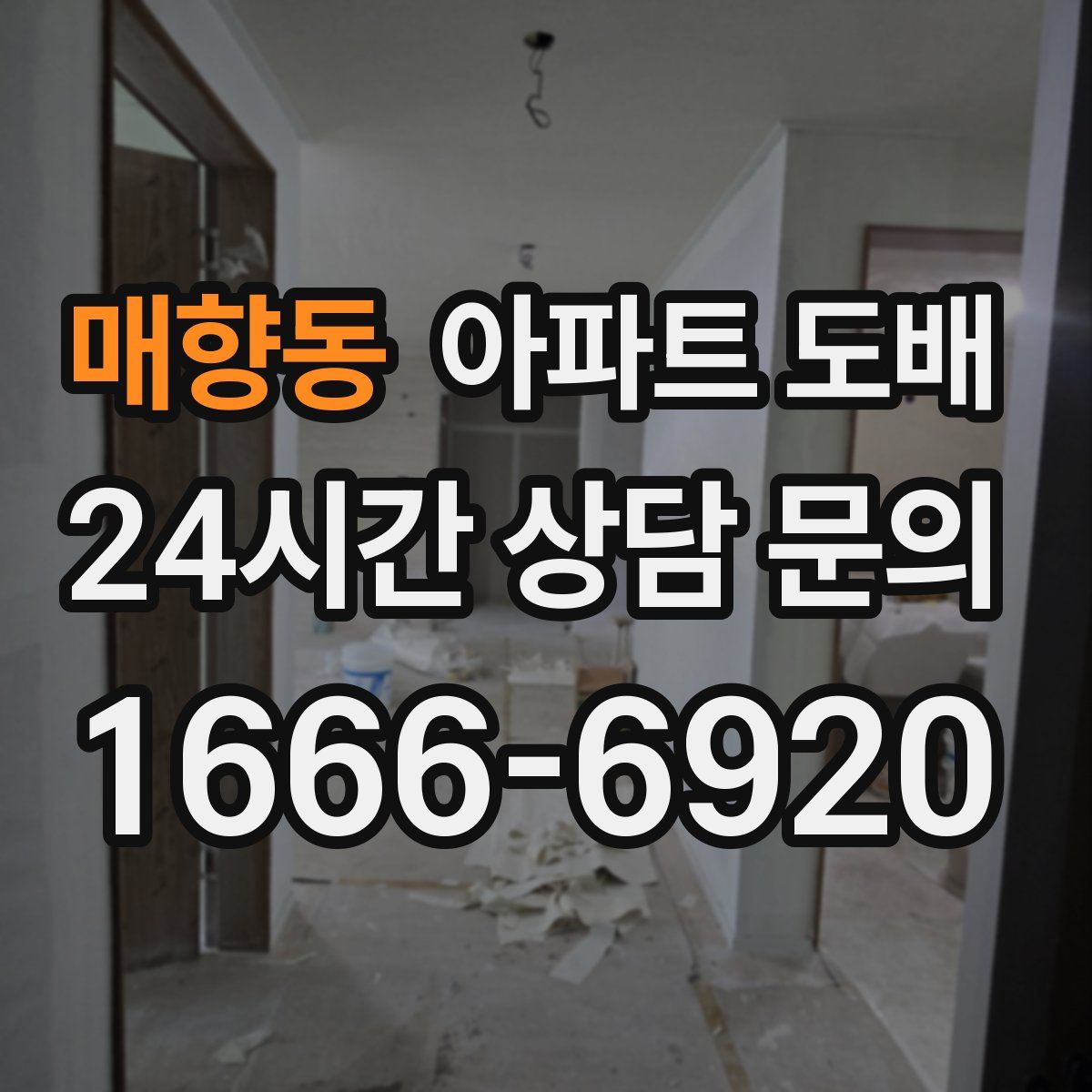 매향동 아파트 도배