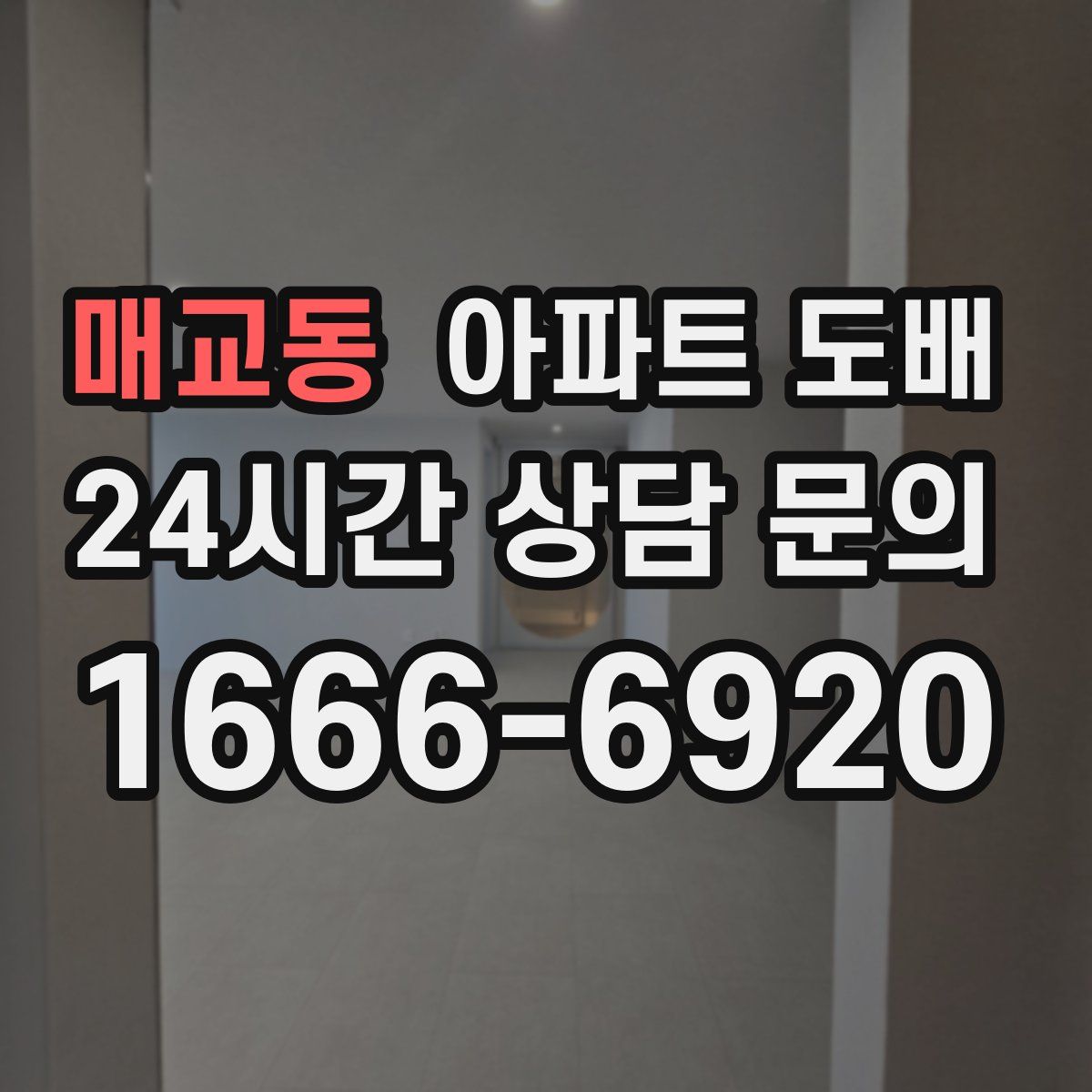 매교동 아파트 도배