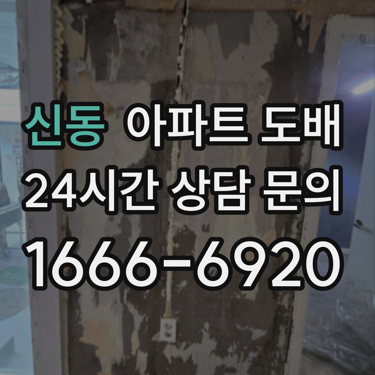 신동 아파트 도배