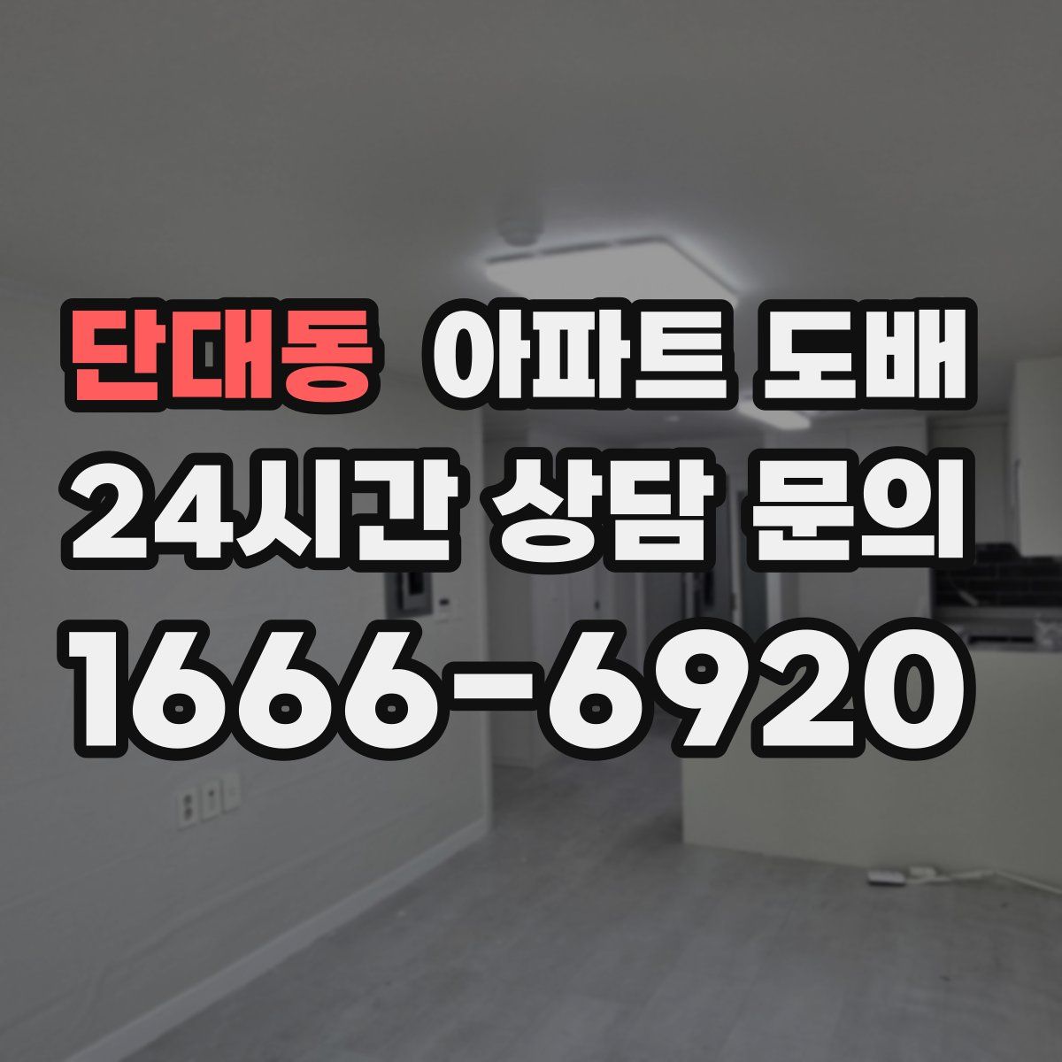 단대동 아파트 도배